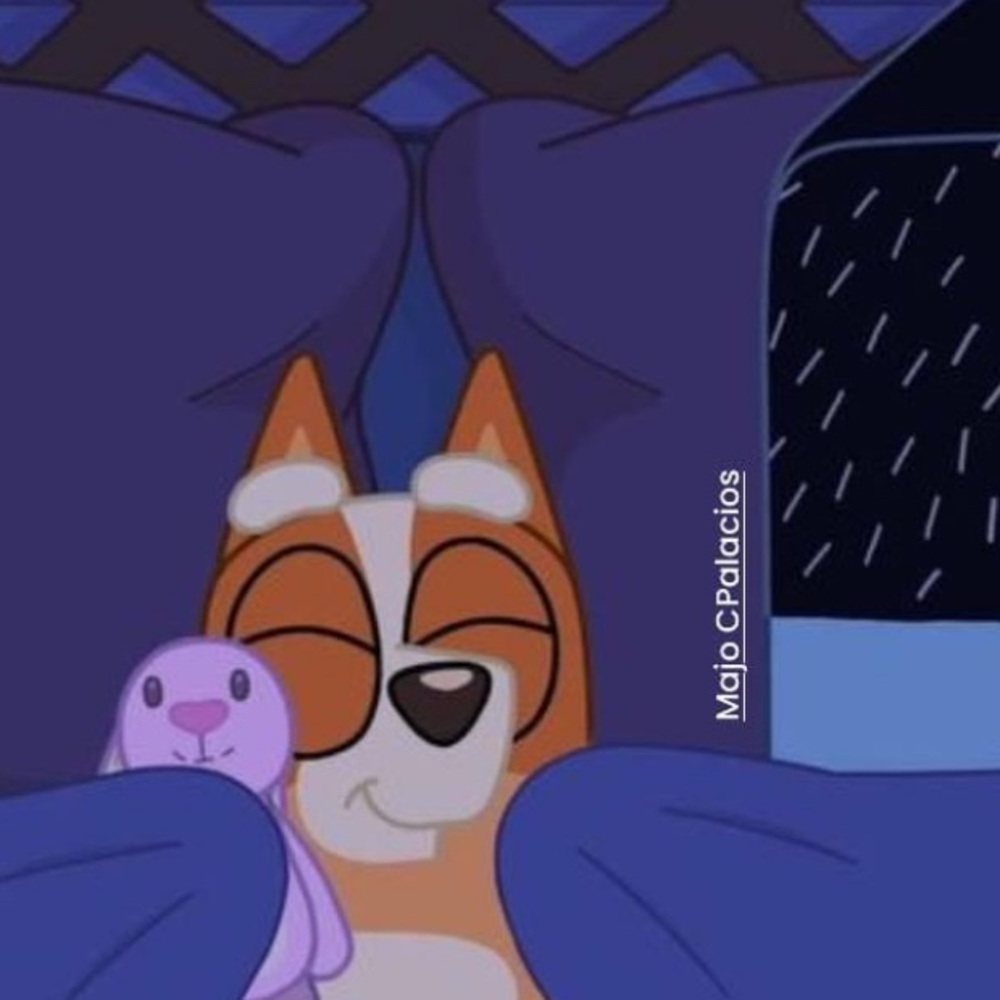 Meet your Posher, María josé